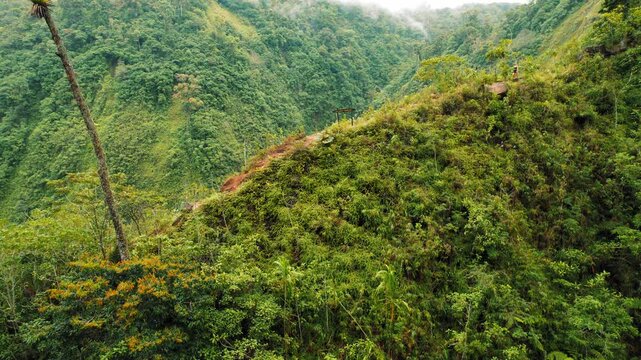 Woman walking on a rock at lush green mountain viewpoint in misty weather