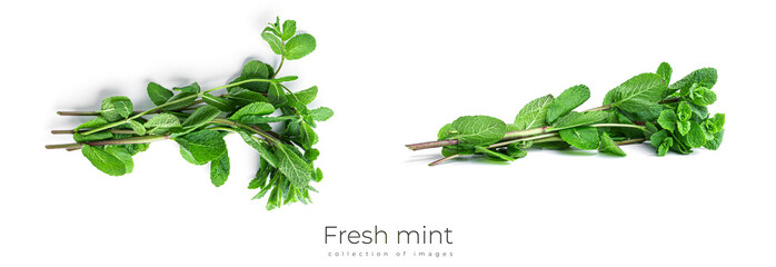 Fresh, green mint leaves on a white background. High quality photo © Светлана Гуркова