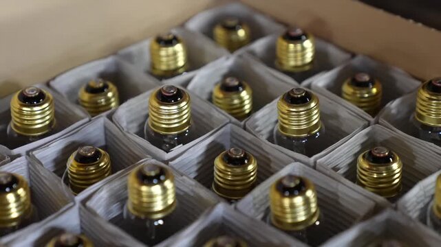 Finished incandescent bulbs with brass bases arranged neatly in packaging trays