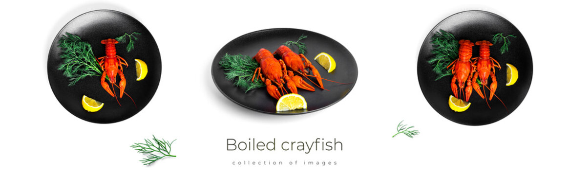 Boiled crayfish with dill and lemon on black plate isolated on a white background. High quality photo