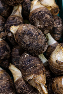 Fresh Raw Taro Roots Heap