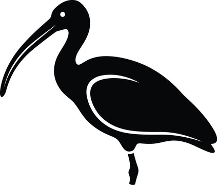 Minimalist black vector graphic silhouette showing an ibis bird featuring a long curved beak and elegant profile shape presented as a stylized digital icon design isolated on white background.