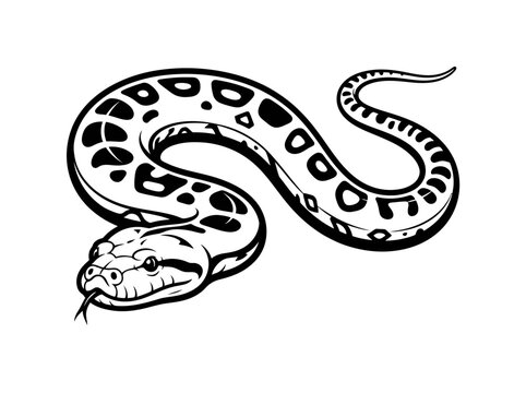 Python snake crawls in a dynamic curve in black and white line art isolated on a white background.