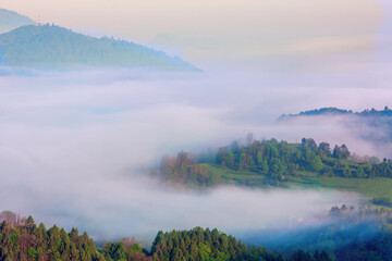 Mglisty poranek w Pieninach. © Janusz Lipiński
