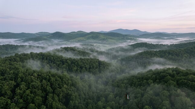 Misty Forest Hills at Sunrise: Serene Aerial Drone View of Rolling Green Landscape with Fog