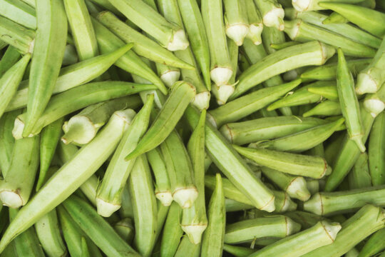Fresh okra vegetables close up as background	
