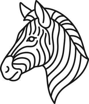 zebra vector illustration