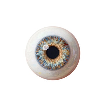 Detailed close-up illustration of a human iris with intricate petal-like patterns and a dark pupil