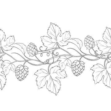 Hand-drawn line art illustration of a hops seamless border