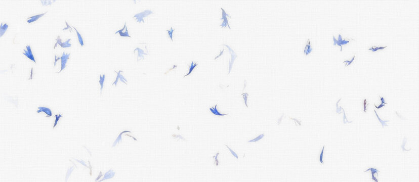 white handmade paper background embedded with scattered dried blue flower petals.