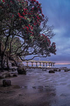 Morning blue hour at Murrays Bay wharf, Auckland, New Zealand