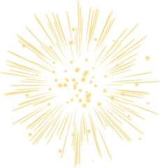 Fototapeta premium Firework bursting.