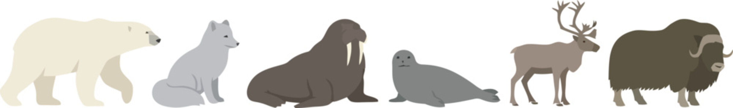 A collection of various arctic animals including a polar bear and reindeer.