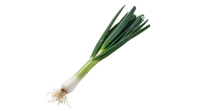 Single fresh raw green spring onion vegetable isolated on transparent background