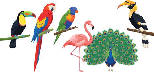 Fototapeta premium A vibrant collection of exotic tropical birds including a toucan macaw parrot flamingo and peacock.