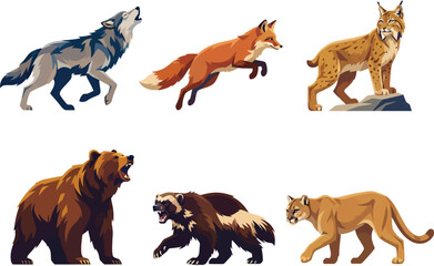 Obraz premium A collection of six wild predatory animals including a wolf fox lynx bear wolverine and cougar.