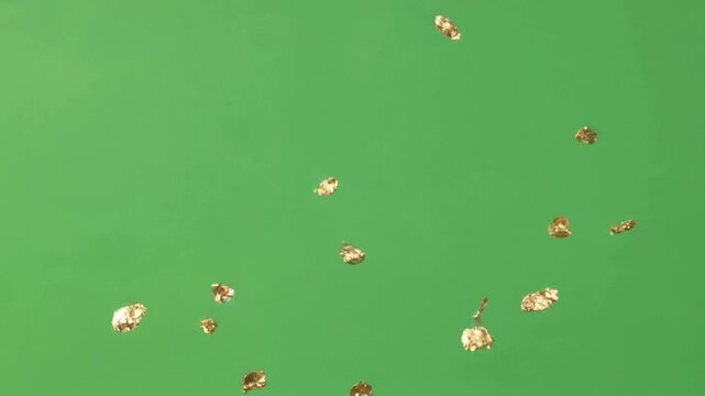 正月や高級和風YouTubeで重宝する和紙と金箔の舞い散る豪華な演出（透過用）