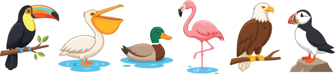 Fototapeta premium A collection of colorful cartoon birds including a toucan pelican duck flamingo eagle and puffin.