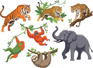 Fototapeta premium A collection of various wild jungle animals including a tiger leopard elephant orangutans and a sloth.