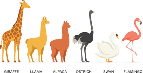 Fototapeta premium A collection of various animals including a giraffe llama alpaca ostrich swan and flamingo.