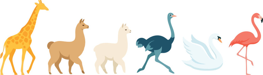 Fototapeta premium A collection of diverse wild animals including a giraffe llama ostrich swan and flamingo.
