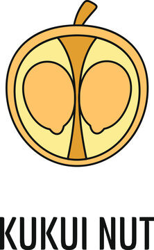 Kukui nut cross section showing two kernels inside, a simple botanical line icon