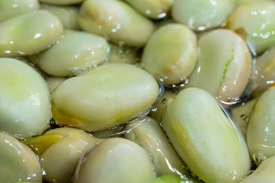 Broad beans or fava beans closeup