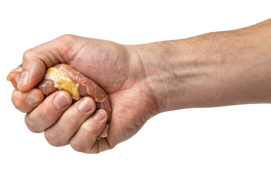 A human hand firmly gripping a piece of raw chicken meat with visible skin and muscle tissue isolated on a transparent background