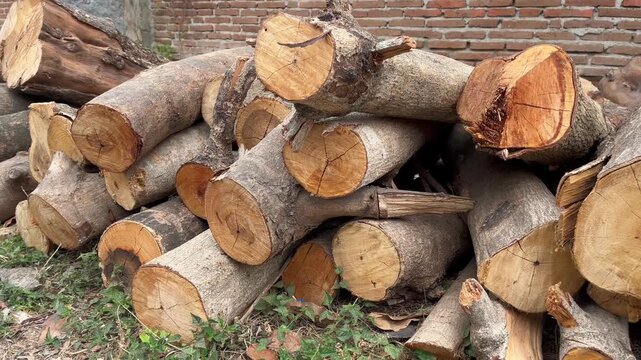 Pile of cut timber logs for firewood material background