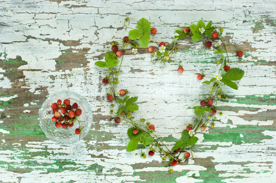 Woodland strawberries, leaves and blossoms shaping a heart