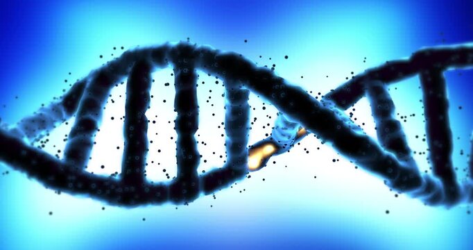 3d render of rotating dna helix with glowing orange mutated gene section. Science and Medical Concept.