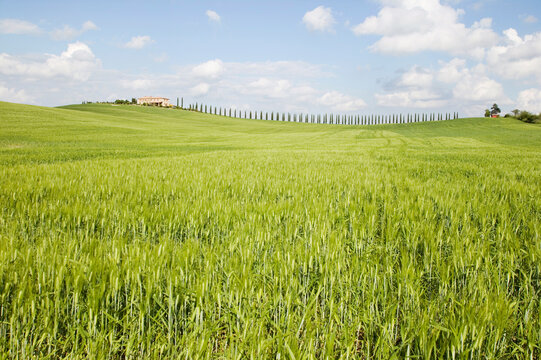Italy, Tuscany, landscape