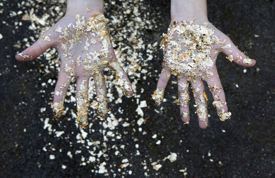 Palms of girl covered with gold leaves