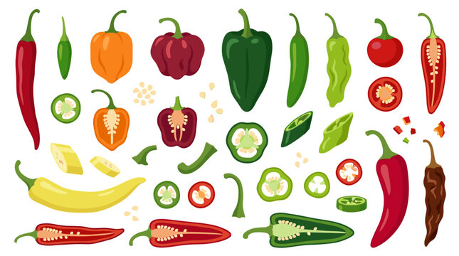 collection of diverse chili peppers, whole and sliced, vibrant organic ingredients for spicy culinary recipes and Mexican cuisine menu design