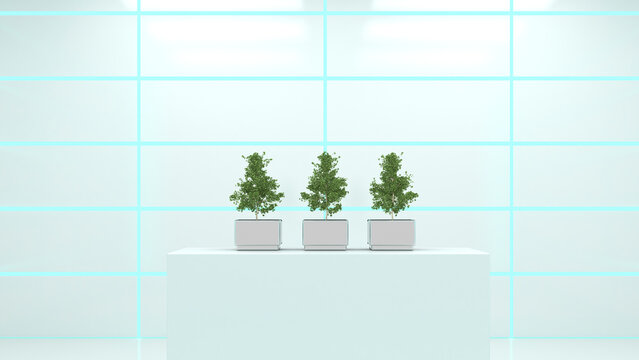 Cultivated ginko trees in a laoratory, 3D Rendering
