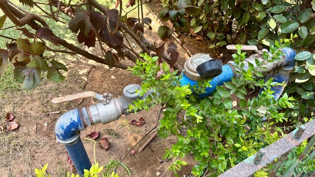 Water meter with blue pipe connections installed among plants in an outdoor garden area