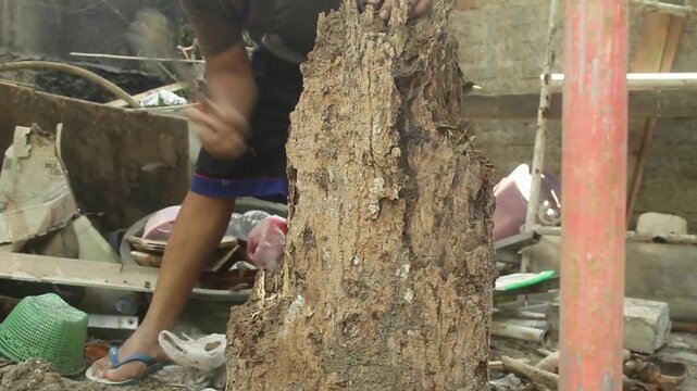 Man using an axe to chop and remove decayed wood from an old tree stump during outdoor land clearing and ground preparation.