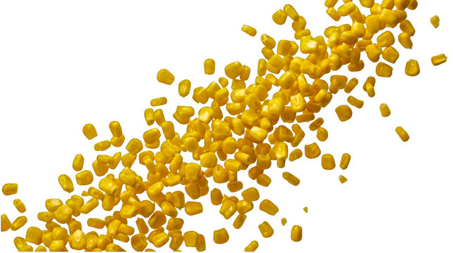 Fresh yellow corn kernels falling down in motion isolated on transparent background