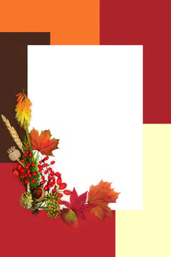 Vivid Autumn Fall leaf colors, berry, flora background with white blank copy space on red, cream, orange, brown background warm seasonal hues.
