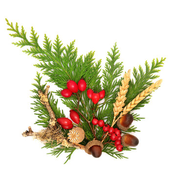 Autumn seasonal berries, nuts, seeds, foliage, floral nature arrangement on white background. Vibrant warm colors of Fall, Samhain Harvest Festival.