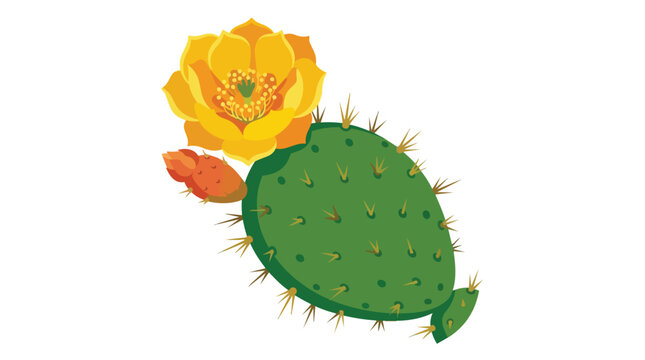 Vibrant Green Prickly Pear Cactus Pad with Beautiful Yellow Bloom and Sharp Thorns Isolated on Plain White Background