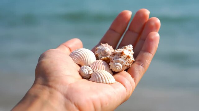 Handful of seashells on a beach with ocean waves in background