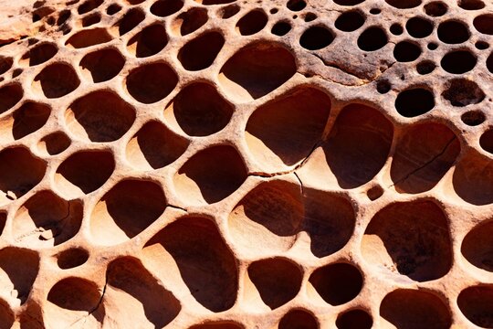 Close-up of honeycomb-like rock formations with circular cavities and natural erosion patterns