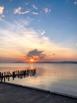 穏やかな水面を染める夕日と並ぶ木杭のシルエットが美しい夕暮れの風景