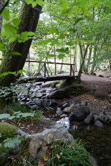 Fototapeta premium Rustic wooden footbridge above a rocky stream in Ninglinspo Valley near Aywaille Wallonia Belgium in the Belgian Ardennes