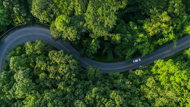 Aerial top-down view of a lush green forest, concept for sustainable transportation and ESG environment, net zero emissions, eco-friendly tourism, and green logistics.