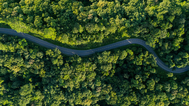 Aerial top-down view of a lush green forest, concept for sustainable transportation and ESG environment, net zero emissions, eco-friendly tourism, and green logistics.