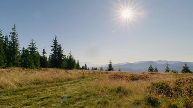 Bright sunstar shining over high altitude mountain meadow and spruce forest under clear sky