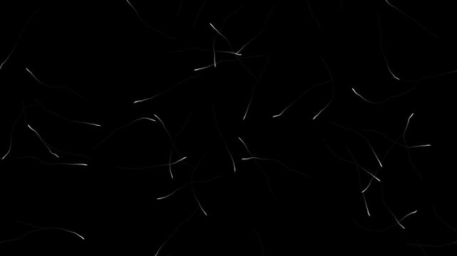 Abstract white luminous threads or roots growing and weaving across a dark background