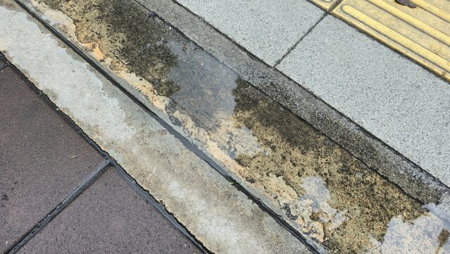 Water puddle on old concrete sidewalk and wet pavement. Artistic weathered concrete surface with dark moss and reflective puddle for creative layouts.